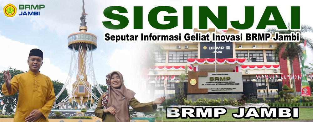 Siginjai Background
