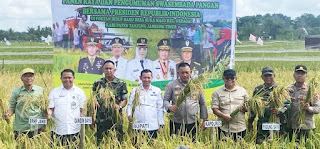 BRMP Jambi Ikuti Panen Rayo Nasional dan Pengumuman Swasembado Pangan di Tanjabtim