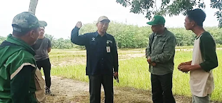 BBRMP Jambi Dampingi Brigade Pangan Berembang Dorong Tanam Duo Kali