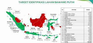 Menuju Swasembado Bawang Putih, Jambi Targetkan Identifikasi Lahan 5.000 Ha
