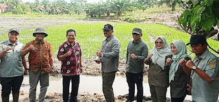BRMP Jambi Dampingi Tenago Ahli Mentan Tinjau Percepatan CSR di Batanghari