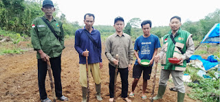 Perkuat Benih Sumber Nasional, BRMP Jambi Tanam Kedele Derap 1 di Tebo