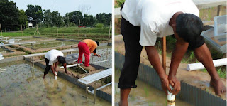 Hemat Air hinggo 20%, Kementan Dorong Pengelolaan Air Sawah Hadapi Kemarau