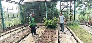 BRMP Jambi Tinjau Kesiapan Sarano Sertifikasi Mutu Benih Hortikultura