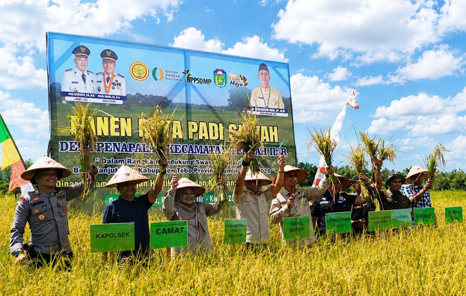 Tebo Panen Rayo, Semangat Swasembado Menggema