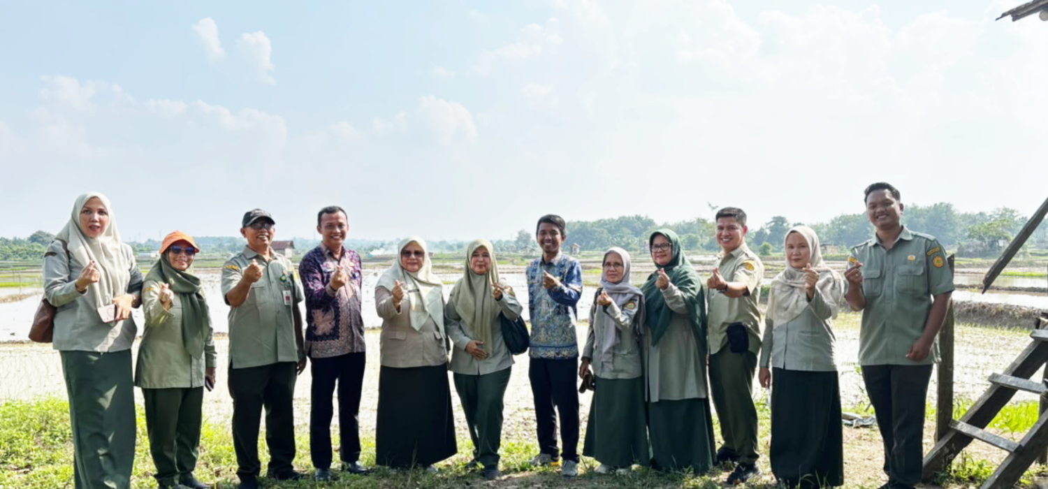 Dirwil BRMP Jambi Tinjau Lokasi Pertanaman di Kota Jambi, Dorong Percepatan Capean LTT