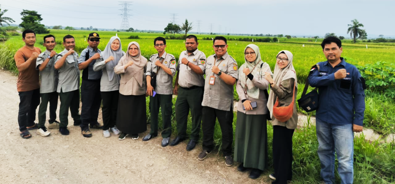 BRMP Jambi Matangkan Tanam Perdano PM-AAS 100 Hektare di Tanjung Jabung Barat