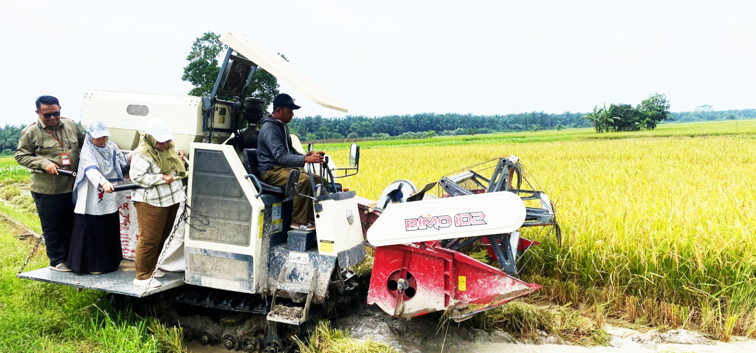 Kobarkan Semangat, Dirwil BRMP Jambi Turun Gunung Kawal Kesiapapan Tanam Padi PM AAS 100 Ha