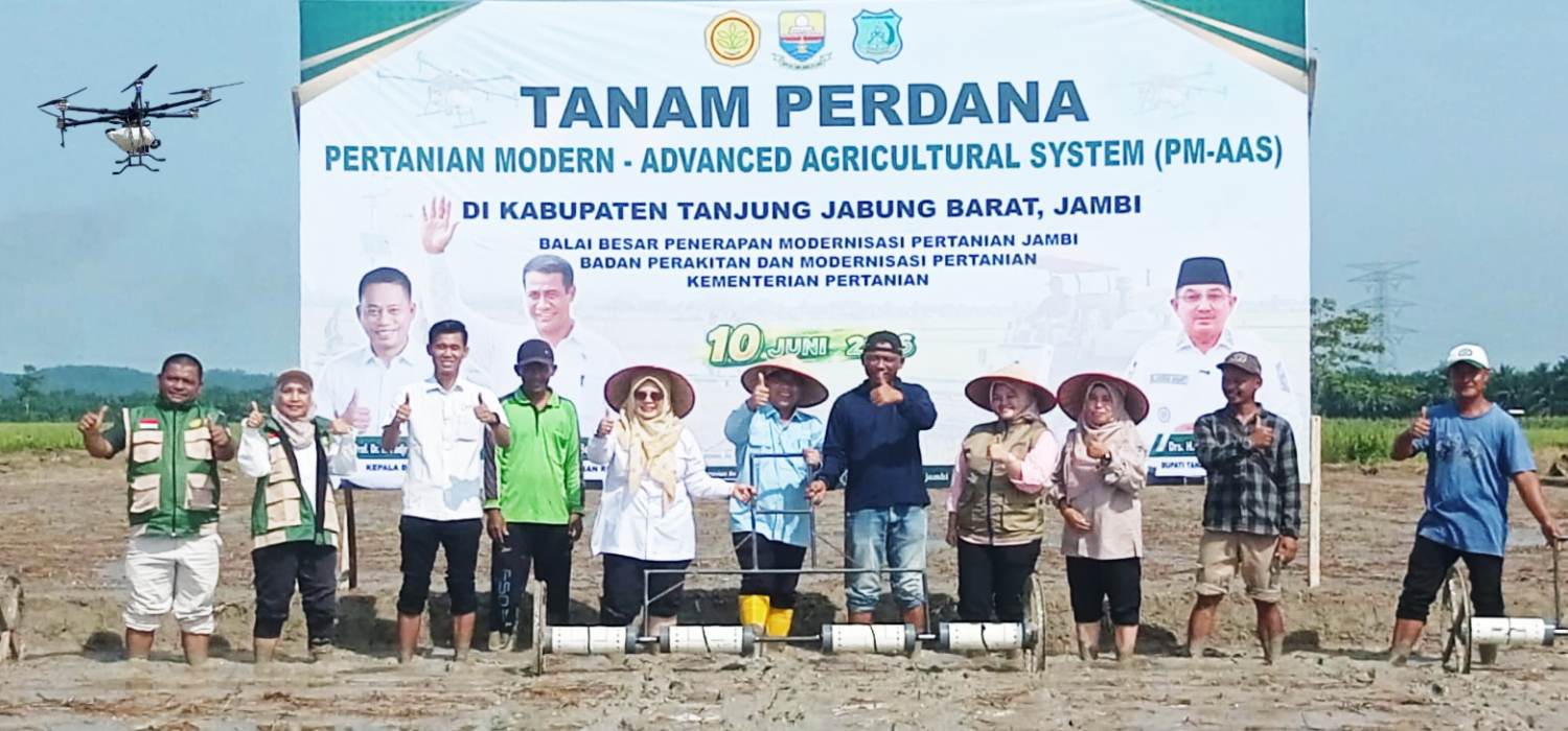 Piloting Project Padi PM-AAS 100 Hektare Resmi Dimule di Tanjung Jabung Barat