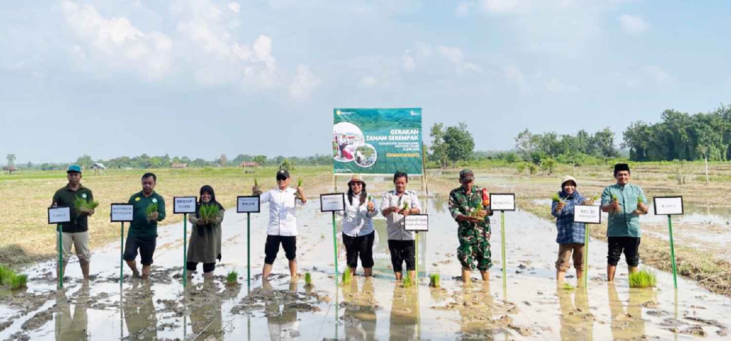 BRMP Jambi Perkuat Swasembado Pangan melalue Gerakan Tanam di Batanghari