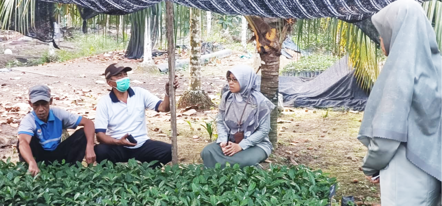 BRMP Jambi Tinjau Perkembangan Perbenihan Kopi Liberika di Tanjung Jabung Barat