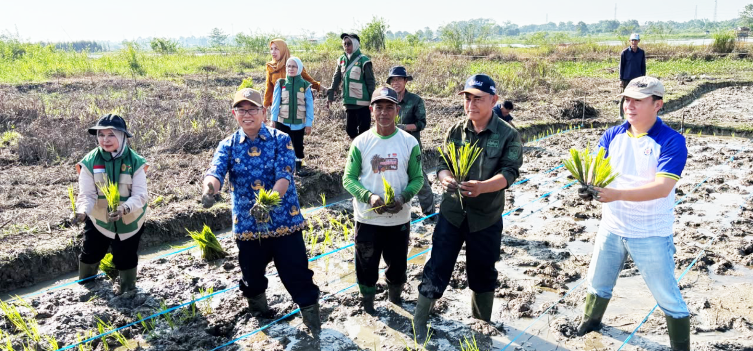 Gerakan Tanam Serentak Percepat LTT Padi Sawah Kota Jambi