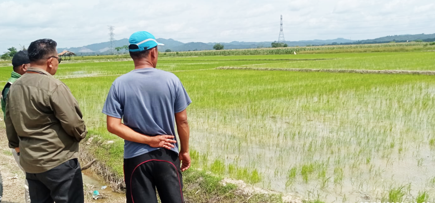 Gema PM-AAS Terus Berkobar di Bumi Serengkuh Dayung Serentak Ketujuan
