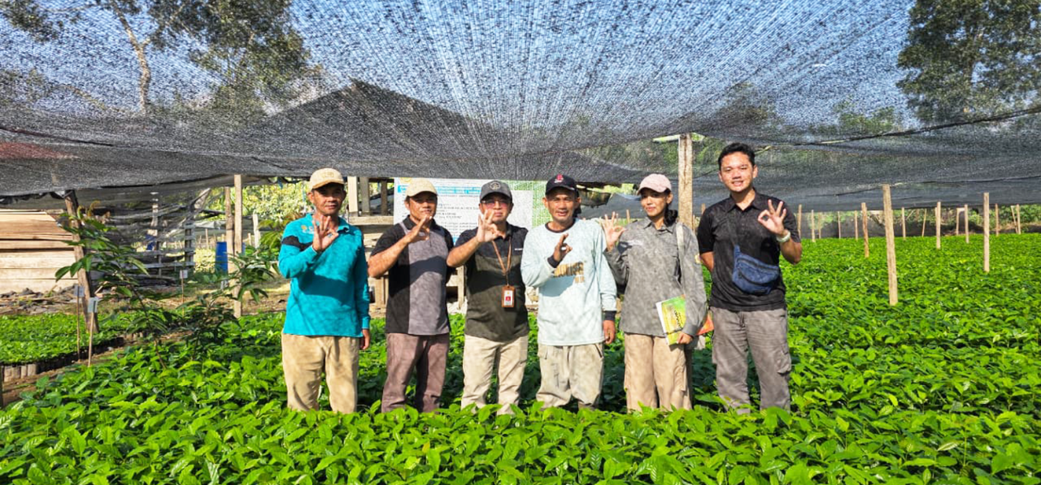 Dukung Pengembangan Kawasan Kopi, BRMP Jambi Pastikan Kesiapan Benih Kopi Arabika di Kerinci
