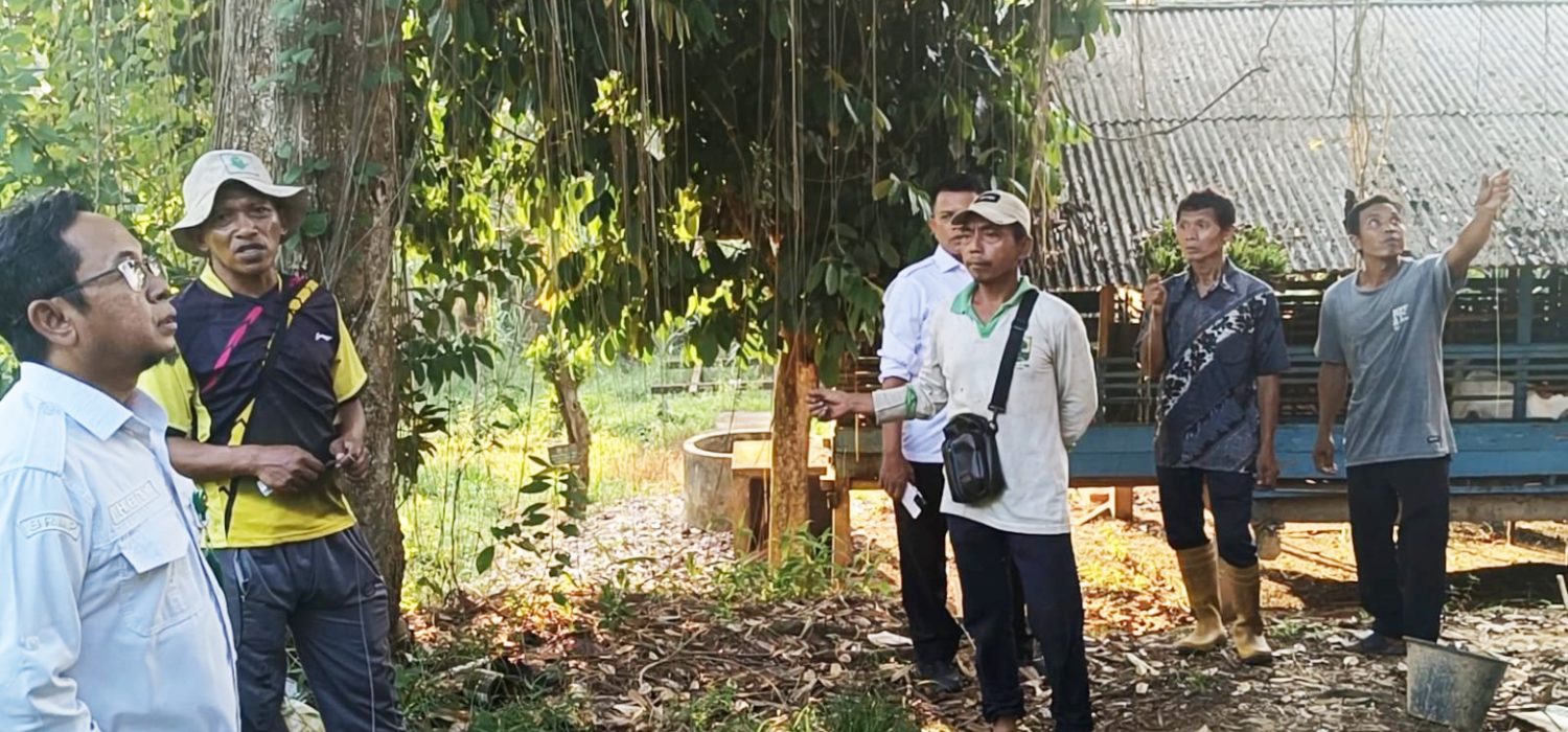 BRMP Jambi Sulap IP2MP Jadi Pusat Wisato Edukasi Pertanian Modern