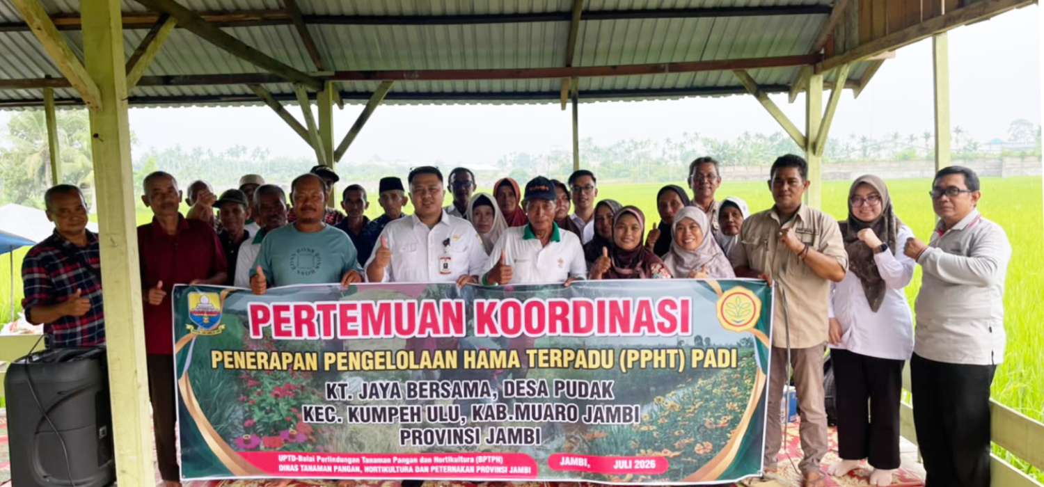 Kawal Swasembado Pangan, BRMP Jambi Perkuat Penerapan PHT di Muaro Jambi
