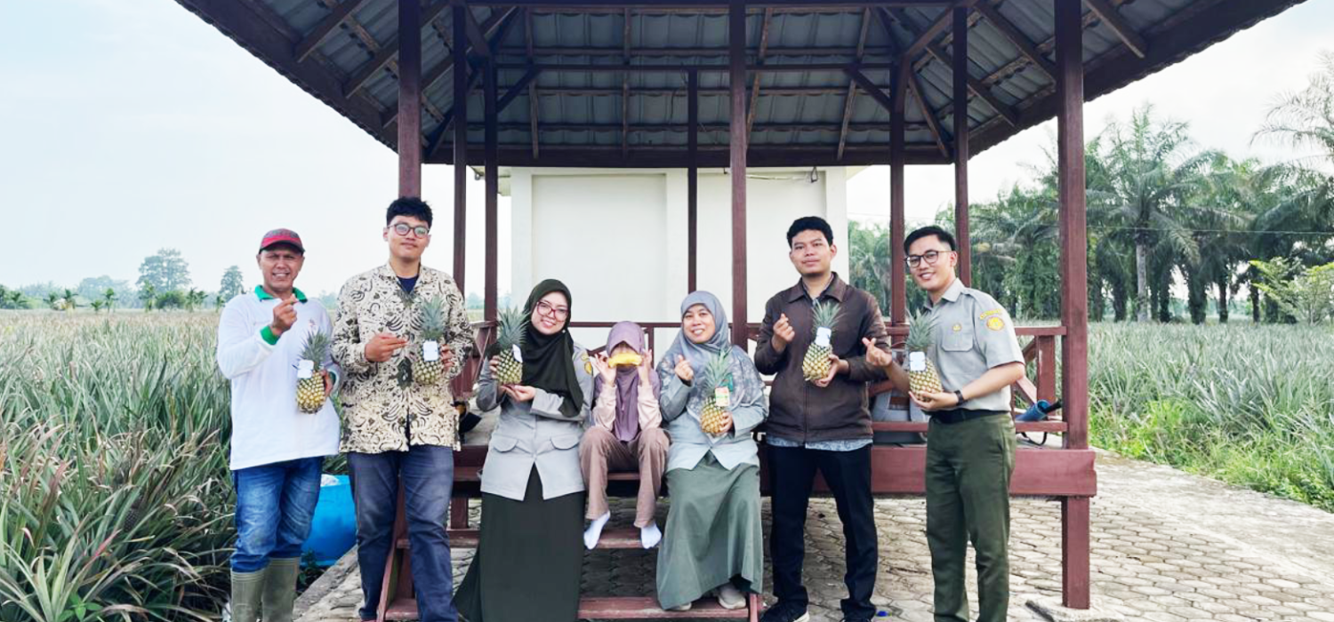Edukasi Pascapanen, BRMP Jambi Ajak Mahasiswo PKL UNJA Uji Mutu Nanas Tangkit