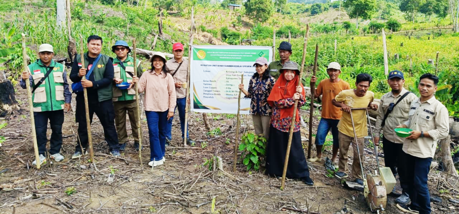 Dari Perbukitan Suo-Suo, Kebangkitan Sentro Kedelai Tebo di Depan Mato