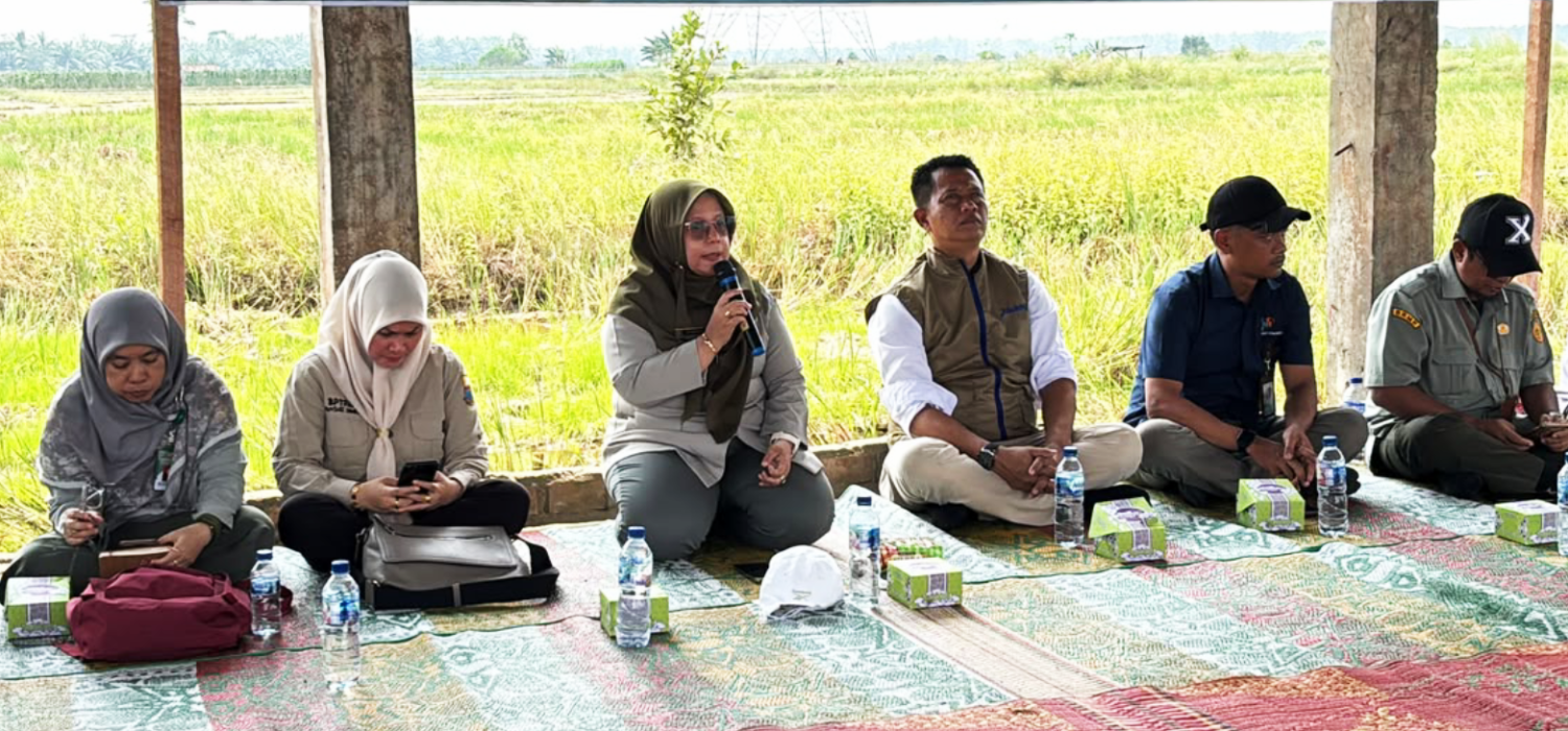Temu Lapang BRMP Jambi, Buktikan PM-AAS Mampu Dongkrak Produktivitas Padi