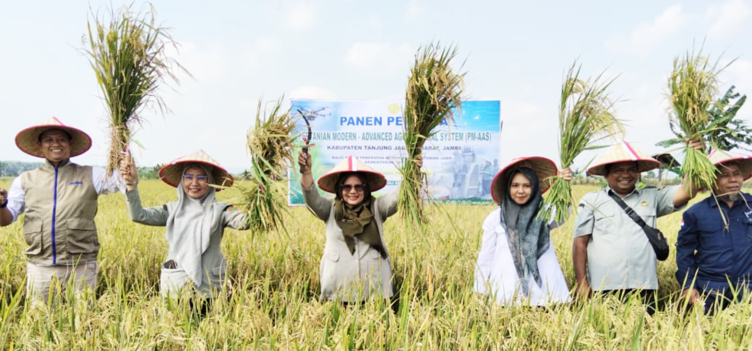 PM-AAS Tunjukkan Pesonanyo, BRMP Jambi Sukses Gelar Panen Perdano di Tanjung Jabung Barat