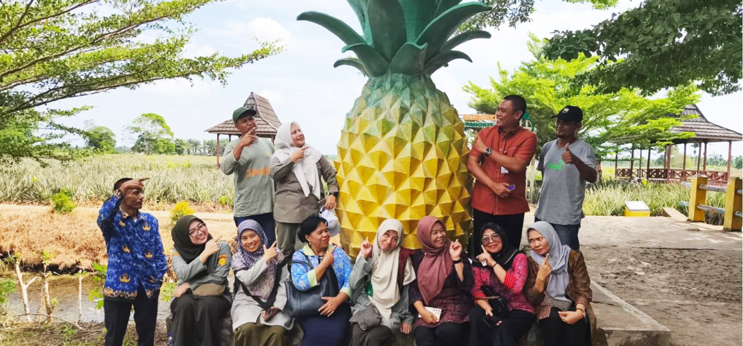 Nanas Tangkit Dibidik Jadi Komoditas Unggulan, BRMP Jambi Gali Peluang Tingkatkan Dayo Saing