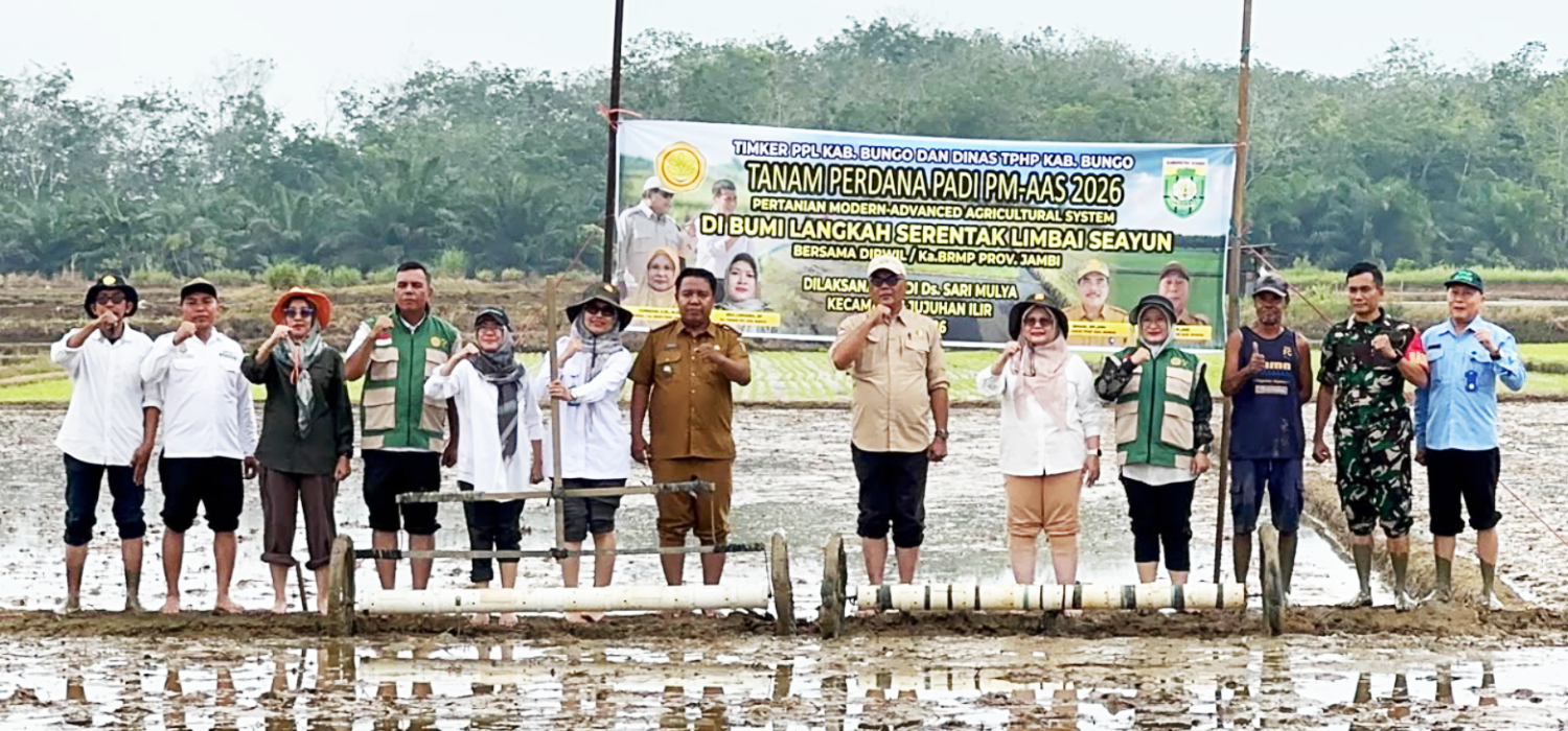 Petani Bungo Antusias Terapkan PM-AAS, Tanam Perdano Dimule dengan Drum Seeder Swadayo
