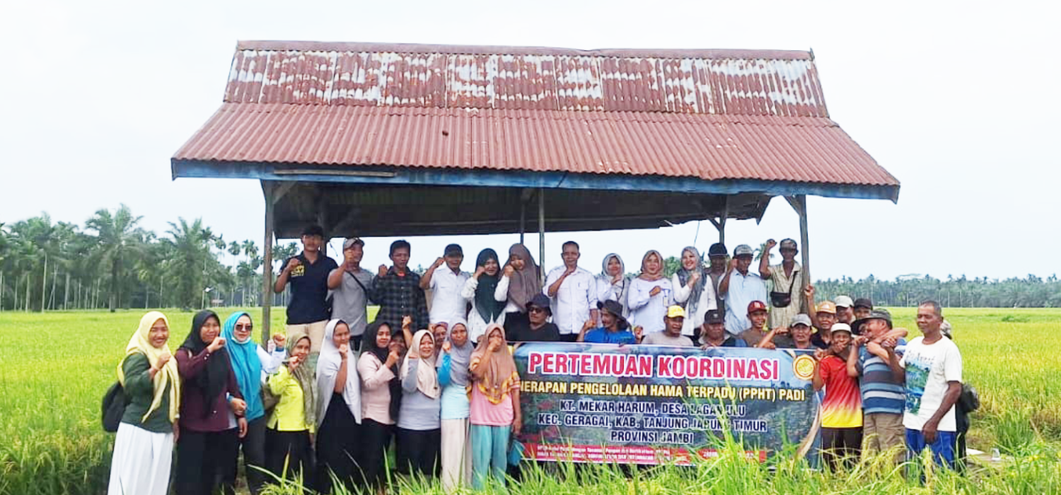 BRMP Jambi Perkuat Pengendalian Hamo Terpadu, Produktivitas Petani Terus Didorong