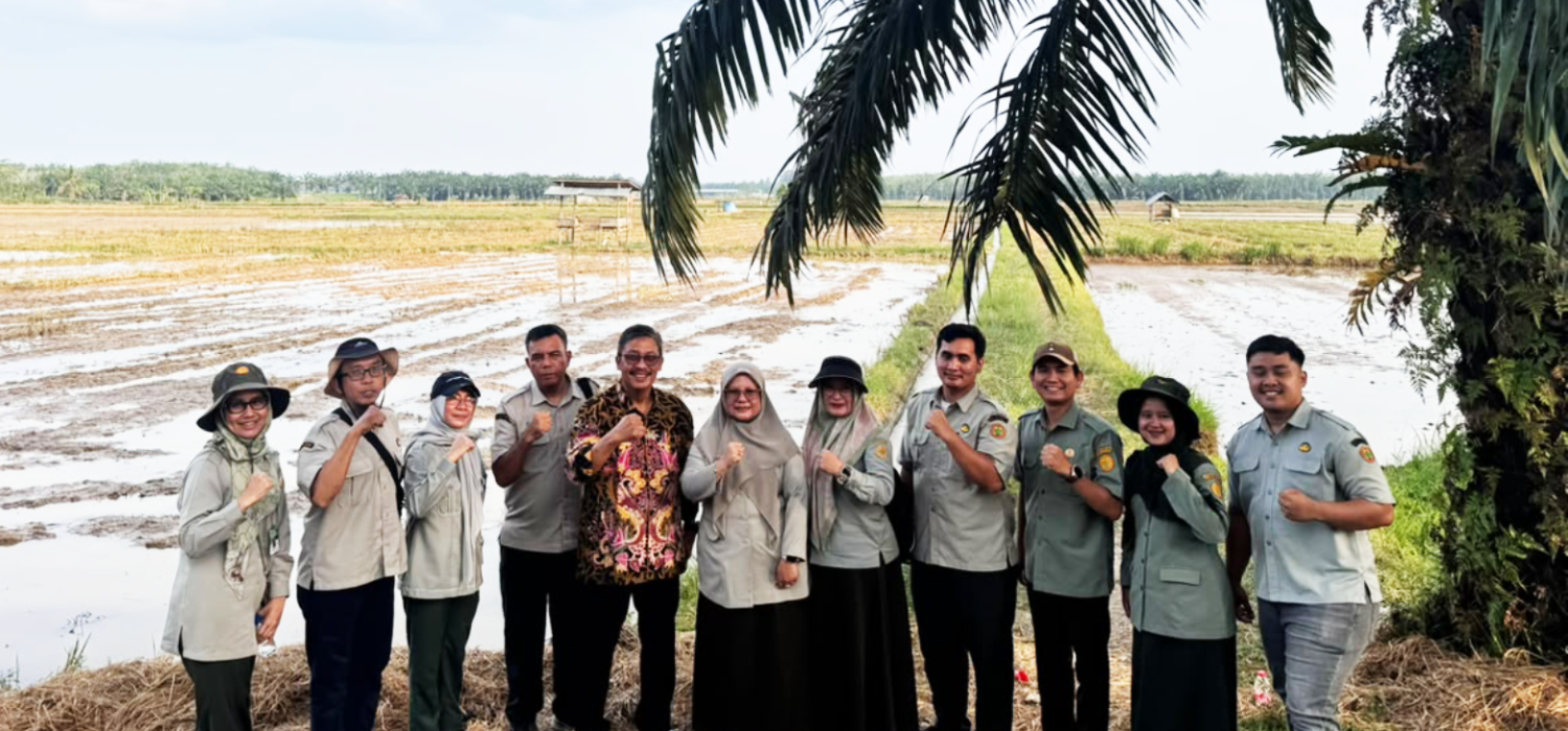 Dirwil BRMP Jambi Dorong Optimalisasi Serapan Gabah Petani di Bungo