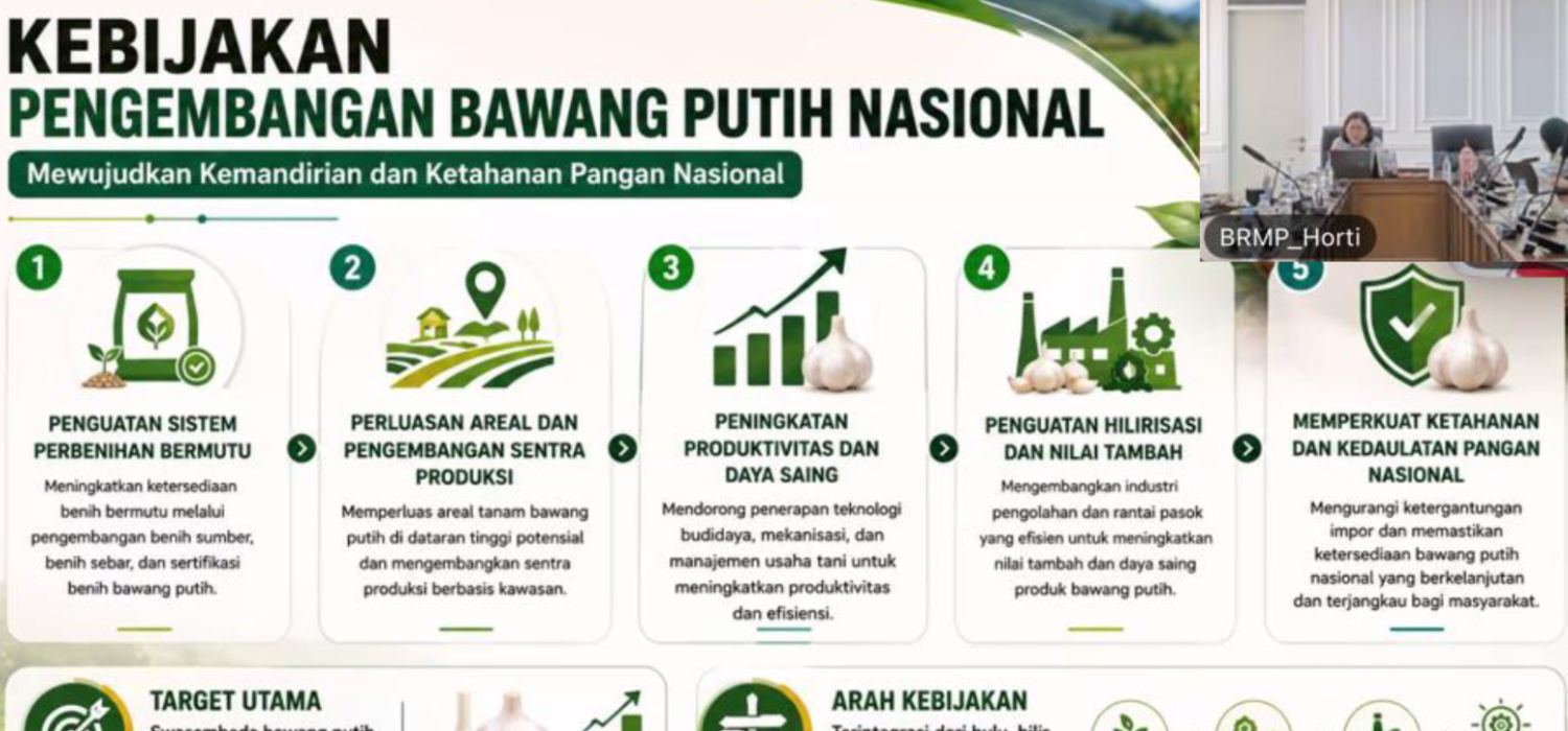 BRMP Jambi Evaluasi Produksi Benih Sumber Bawang Putih, Fokus Hadapi Tantangan Kemarau
