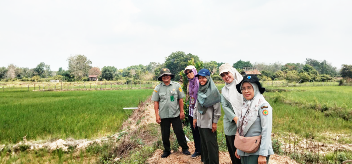BRMP Jambi Pacu Optimalisasi Lahan, CSR, dan PM-AAS dari Brigade Pangan Batanghari