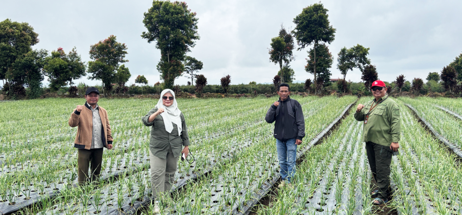 Kerinci Didorong Jadi Sentra Benih Hortikultura, BRMP Jambi Kawal Mutu Bawang Merah dan Bawang Putih
