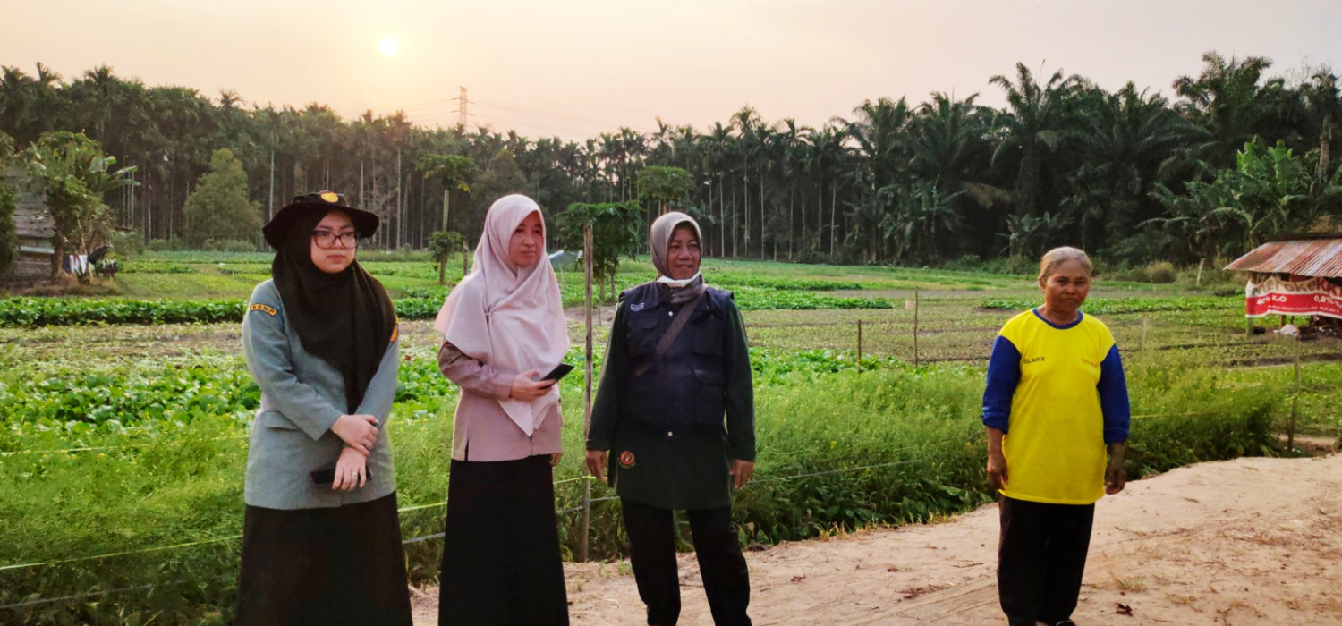 BRMP Jambi Identifikasi Lahan Hortikultura, Sunge Gelam Berpotensi Kembangkan 10 Hektare