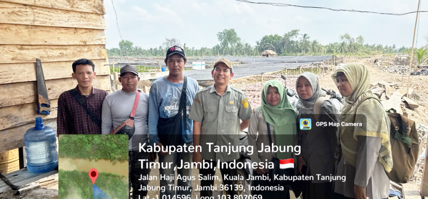 BRMP Jambi Pastikan Benih Kelapo Siap Salur untuk Tanjung Jabung Timur dan Barat