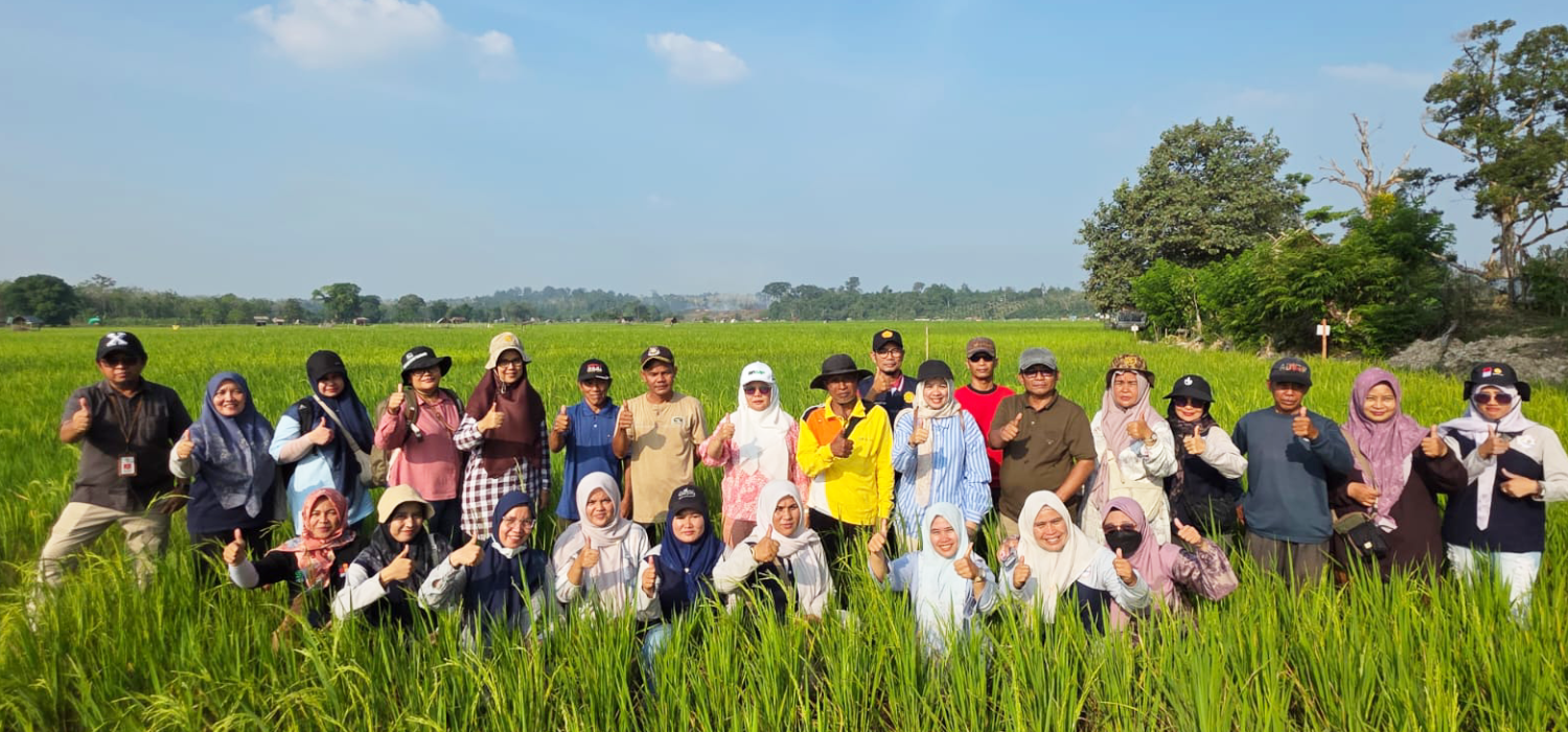 Kekeringan Ancam 86 Hektare Sawah, BRMP Jambi Dorong Percepatan Pengairan