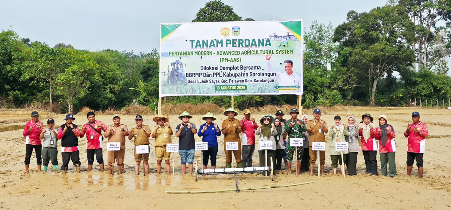 Dari Sekolah Lapang ke Lahan, PM-AAS Langsung Diimplementasikan di Demplot Sarolangun