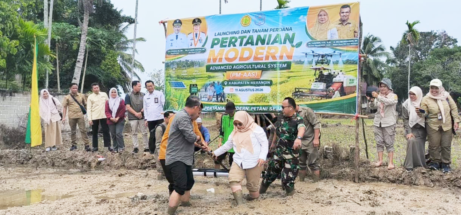 PM-AAS Mengakar di Merangin, Dari Sawah Mampun Menuju Pertanian Modern dan Petani Sejahtero