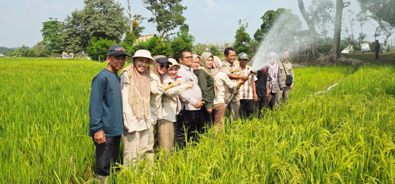 Tanggap Kekeringan, BRMP Jambi Salurkan Dukungan Air untuk Lahan Pertanian Sarolangun
