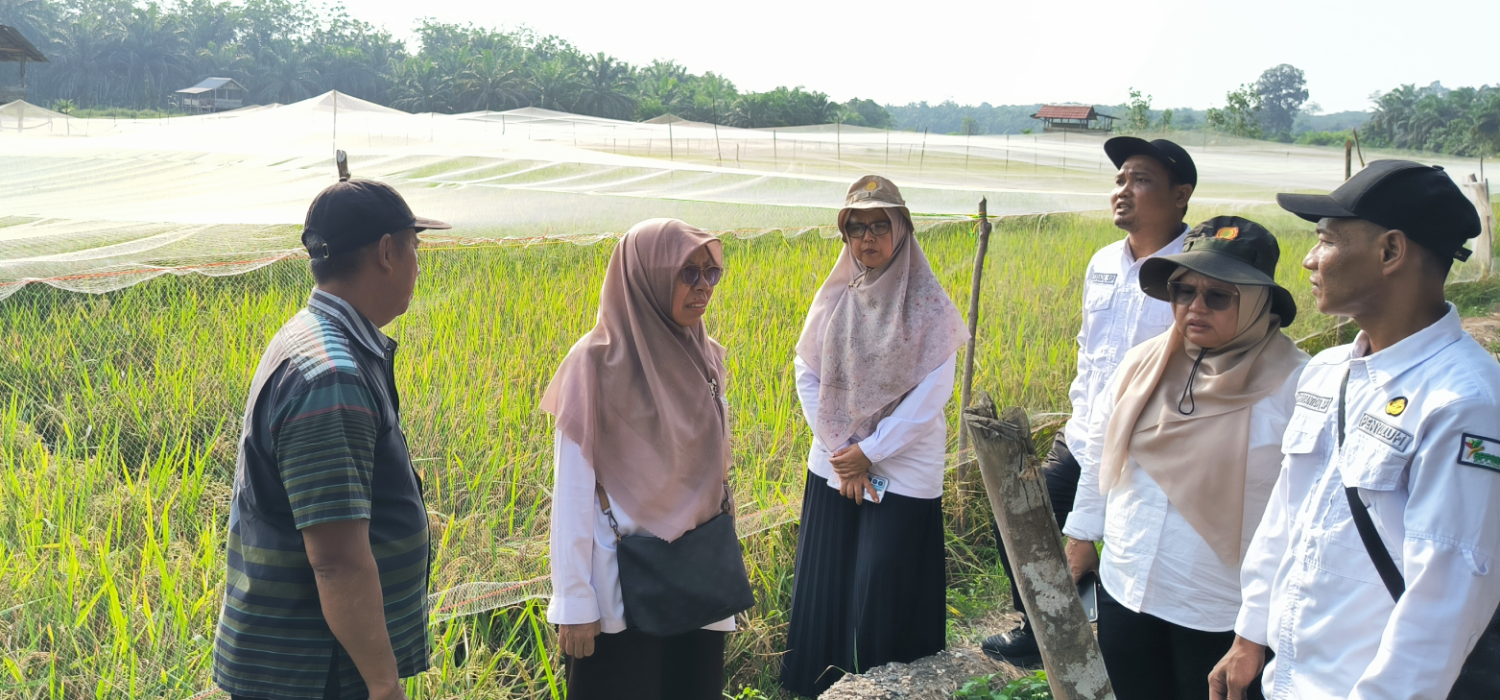 Kekeringan Jadi Ancaman Petani Pamenang Merangin, BRMP Jambi Turun Langsung Cari Solusi