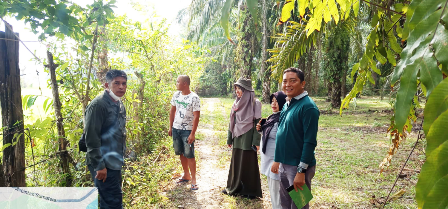 Menanti Musim Tanam Berikutnyo, PM-AAS Bersiap Hadir di Pematang Pulai