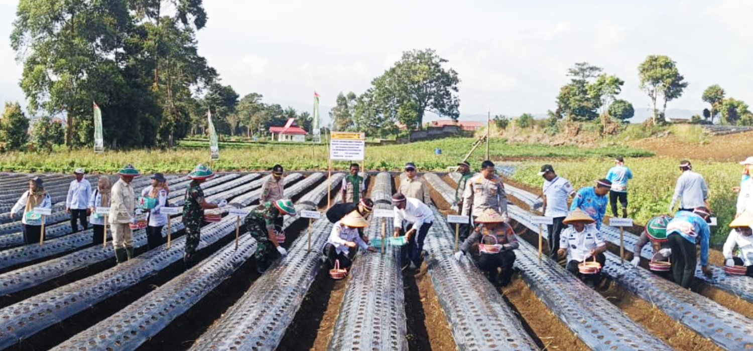 BRMP Jambi Hadiri Penanaman Serentak Bawang Putih untuk Percepatan Swasembado Nasional
