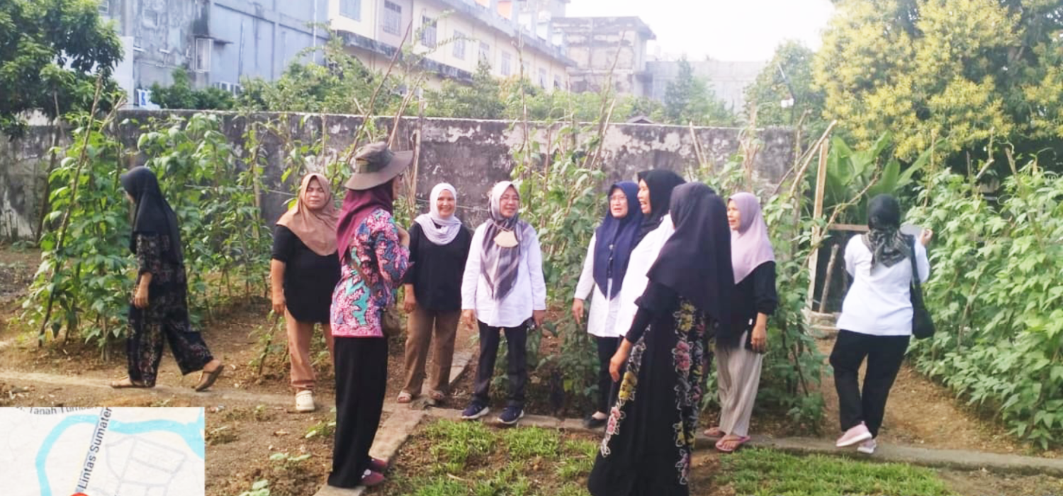 BRMP Jambi Dorong Pemanfaatan Pekarangan untuk Perkuat Pangan Keluargo di Bungo