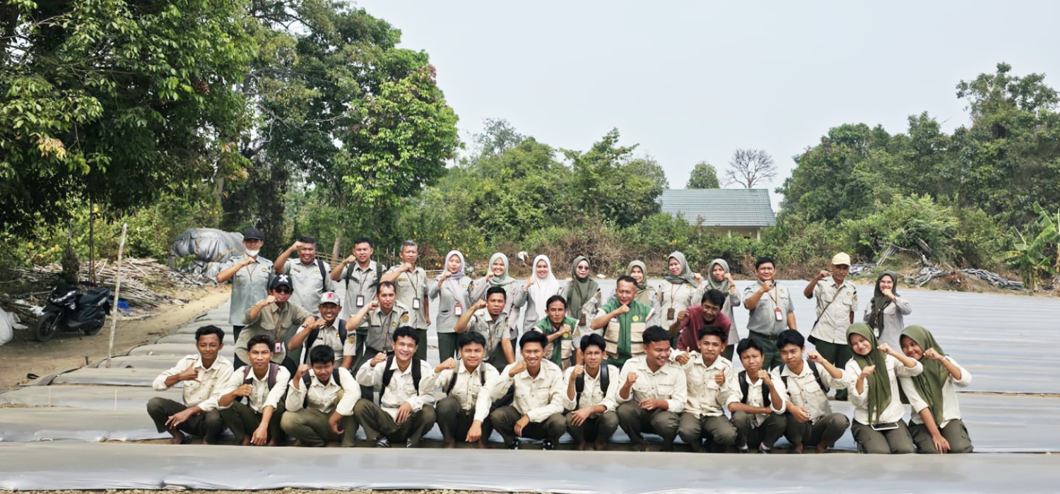 BRMP Jambi Dorong Hilirisasi Cabe Petani Mandiangin, Perkuat Akses Pasar