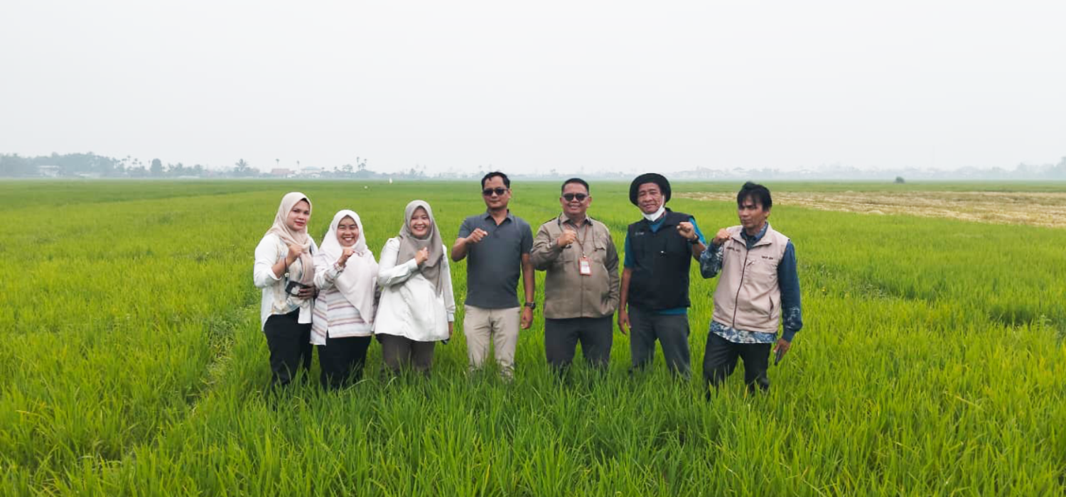 BRMP Jambi Kawal Penanganan Kekeringan 46 Hektare Lahan Pertanian di Kerinci