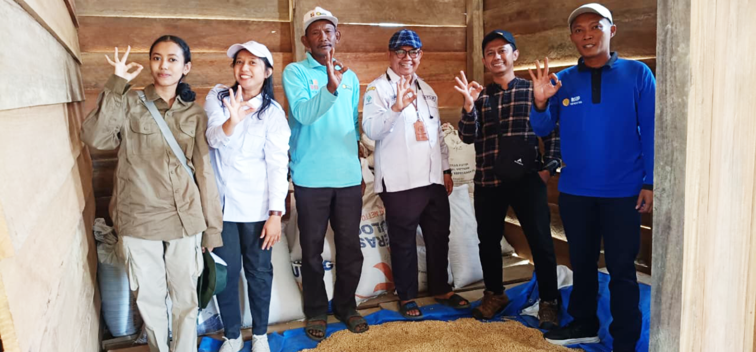 Kedele Jadi Andalan Tebo, BRMP Jambi Perkuat Produksi Benih Sumber