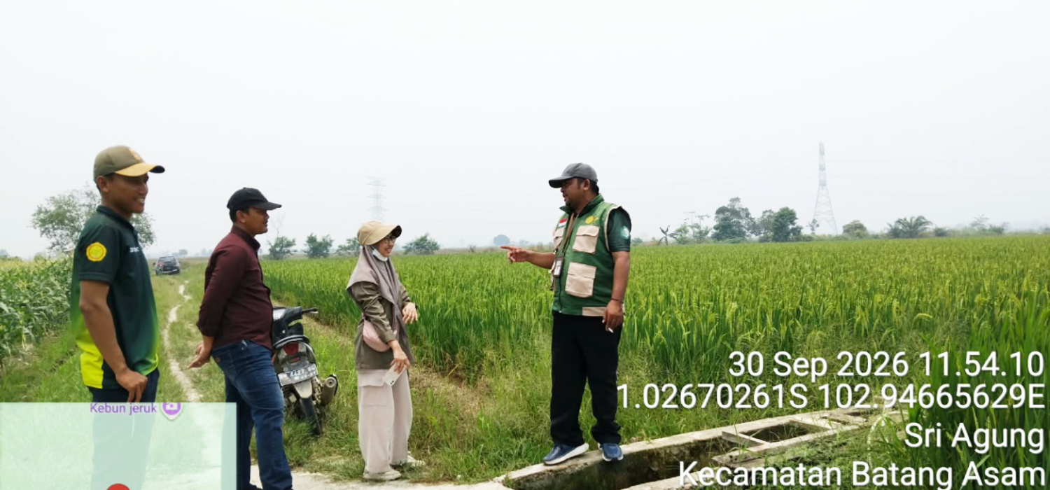 BRMP Jambi Tinjau Piloting PM-AAS 100 Hektare di Tanjung Jabung Barat