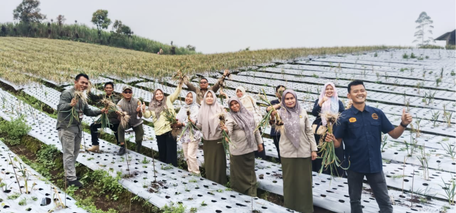 BRMP Jambi Persiapkan Panen dan Tinjau Penyimpanan Benih Bawang Putih di Kerinci