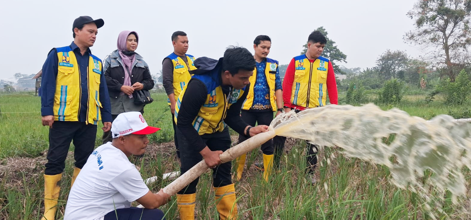 BRMP Jambi Kolaborasi dengan BPTPH, Pemda dan BWS Sumatera VI Atasi Kekeringan Lahan Pertanian