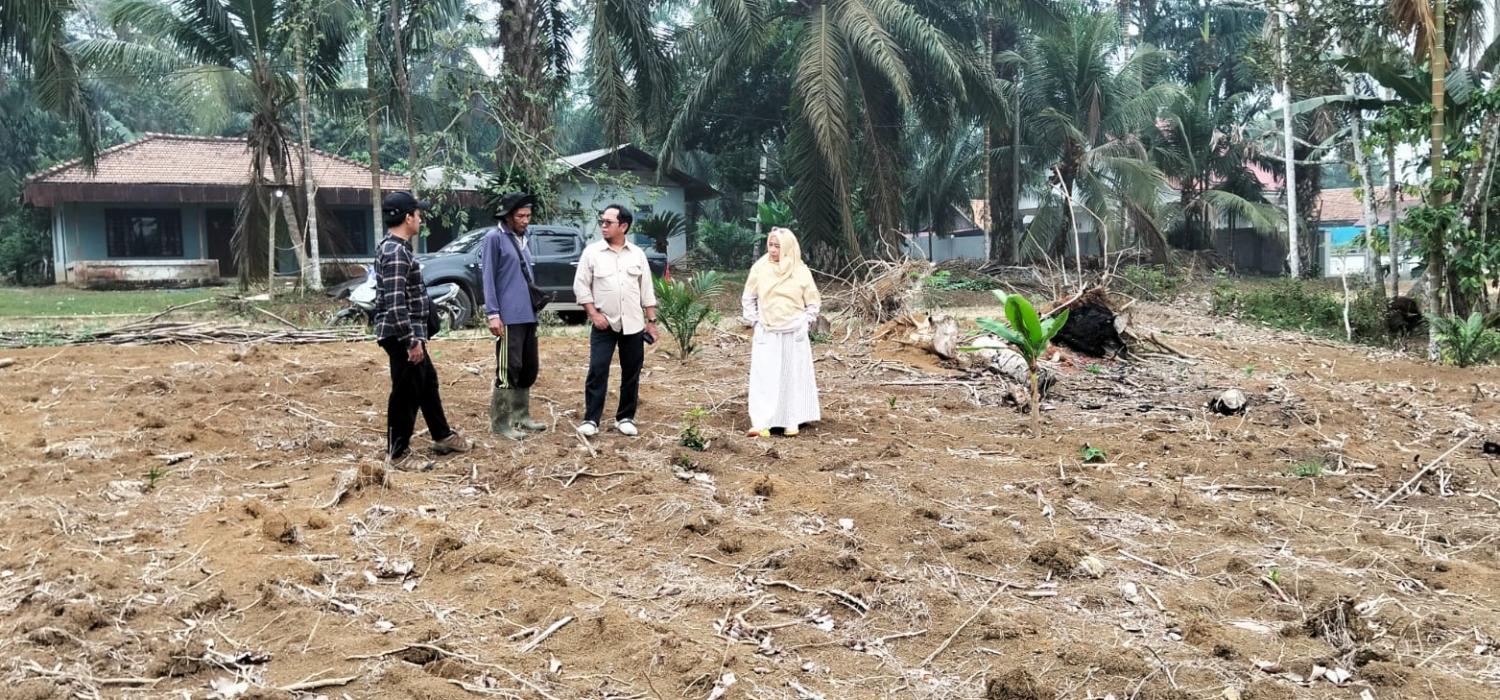 Duo Lokasi Disiapkan, BRMP Jambi Mantapkan Produksi Benih Sumber Kedele Tahap Duo di Tebo
