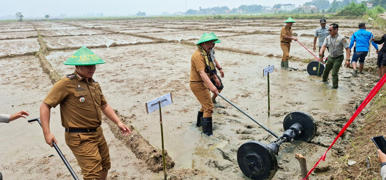 Bupati Kerinci Turun Langsung Tanam PM-AAS Seluas 2 Hektare di Depati Tujuh